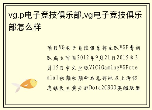vg.p电子竞技俱乐部,vg电子竞技俱乐部怎么样